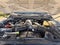 2021 Ford Super Duty F-250 SRW XLT