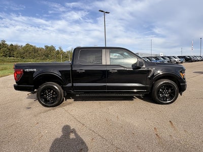 2025 Ford F-150 STX